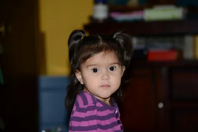 DSC_0998 (Large).JPG